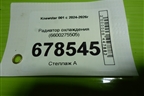 Радиатор охлаждения (6600275505) для Knewstar 001 с 2024-2026г