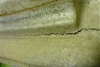 Наполнитель заднего бампера (866202E000) для Hyundai Tucson с 2004-2010г (Туксон)