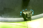 Чехол запасного колеса наружная часть (3100100XK14A) для Tank 300 с 2021-2025г