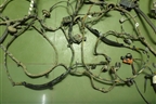 Проводка салонная (6M5T14401 6M5T14014) для Ford Focus 2 с 2005-2008г (Фокус)